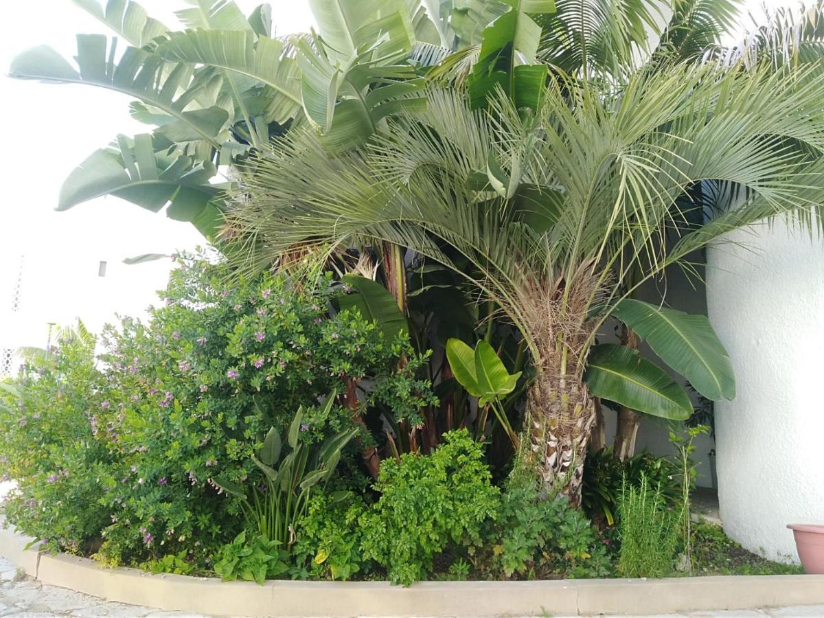 Garden View Vilamoura Apartment 외부 사진
